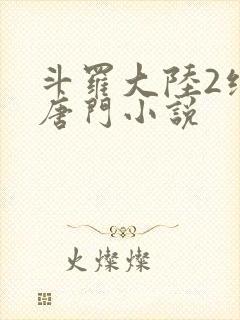 斗罗大陆2绝世唐门小说