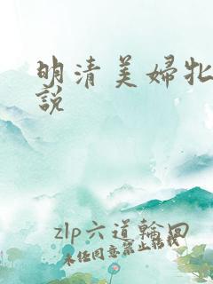 明清美妇牝户小说