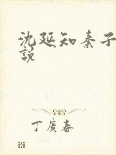 沈延知秦子卿小说