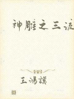 神雕之三流