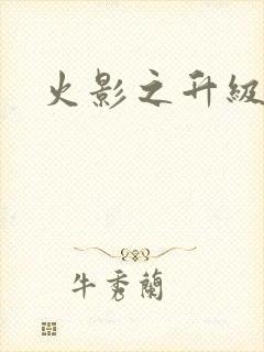 火影之升级狂人