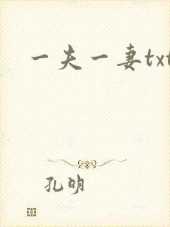 一夫一妻txt