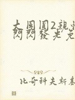 大团圆2亲情会闪闪发光免费