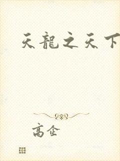 天龙之天下有我