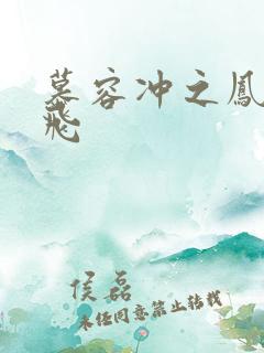 慕容冲之凤凰于飞