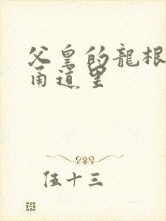 父皇的龙根在我甬道里