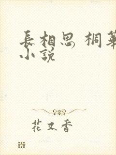 长相思 桐华 小说