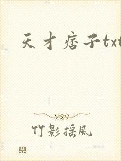 天才痞子txt