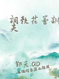 调教花蒂训诫从夫