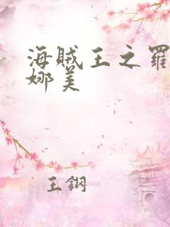 海贼王之罗宾h娜美