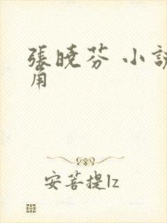 张晓芬 小说主角