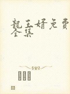 龙王婿免费完结全集