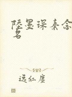 陆墨琛秦念小说名