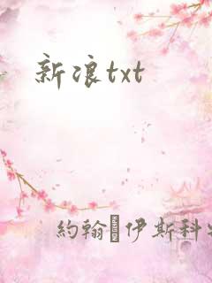 新浪txt
