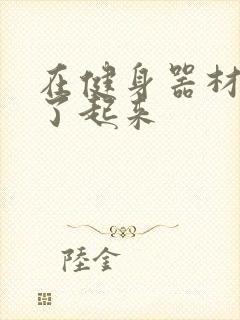 在健身器材上做了起来