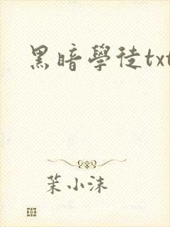 黑暗学徒txt