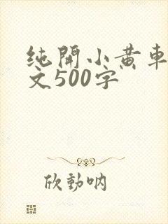 纯开小黄车小短文500字