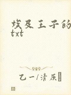 埃及王子的宠妃txt