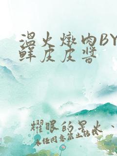 温火炖肉BY海鲜皮皮酱