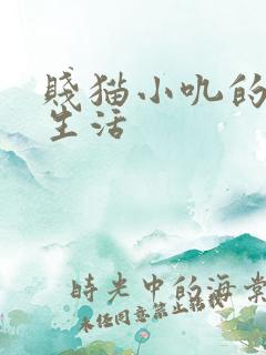 贱猫小叽的幸福生活