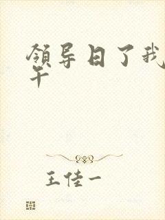 领导日了我一下午