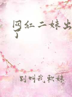网红二妹出啥事了
