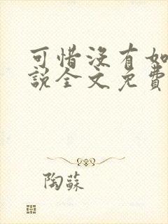 可惜没有如果小说全文免费阅读