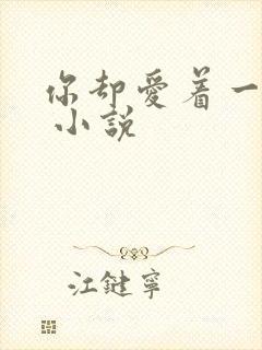 你却爱着一个他 小说