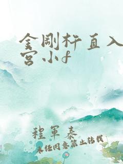 金刚杵直入莲花宫小f