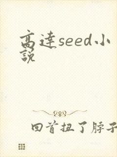 高达seed小说