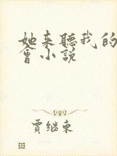 她来听我的演唱会小说