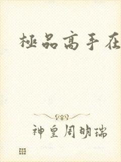 极品高手在异界