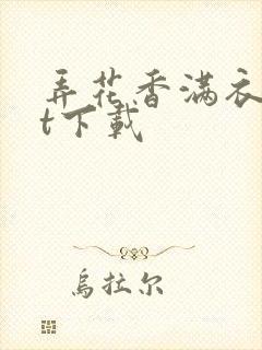 弄花香满衣txt下载