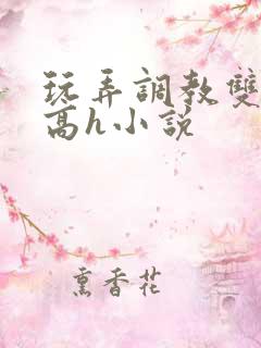 玩弄调教双胞胎高h小说