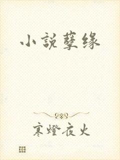 小说孽缘