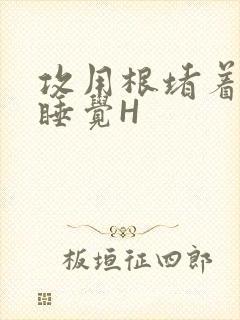 攻用根堵着小受睡觉H