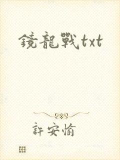 镜龙战txt