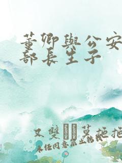 董卿与公安部副部长生子