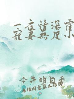 一夜情深霍先生宠妻无度小说免费阅读