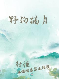 野狗摘月