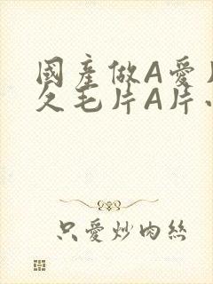 国产做A爱片久久毛片A片小说