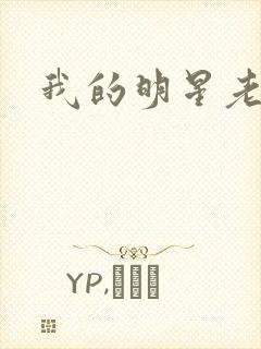 我的明星老豆