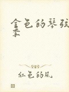 金色的琴弦第二季