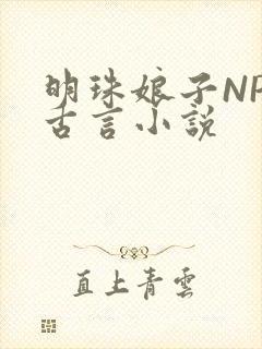 明珠娘子NPC古言小说