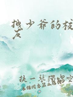 拽少爷的校花女友