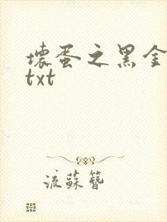 坏蛋之黑金帝国txt