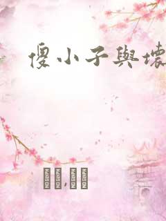 傻小子与坏女人