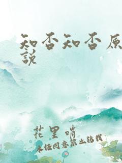 知否知否原著小说