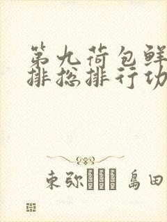 第九荷包鲜辣肉排总排行功能介绍