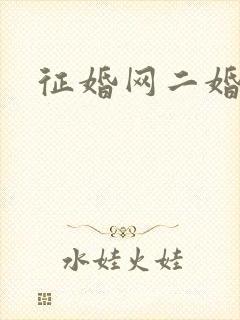 征婚网二婚